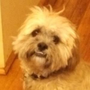 Meet your Posher, Terri